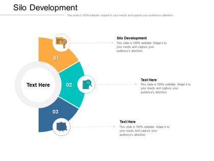 Silo development ppt powerpoint presentation infographics introduction cpb