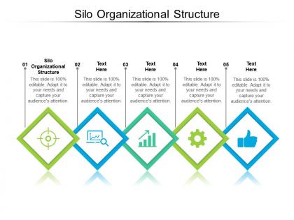 Silo organizational structure ppt powerpoint presentation infographic template smartart cpb