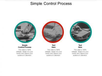 Simple control process ppt powerpoint presentation summary example introduction cpb