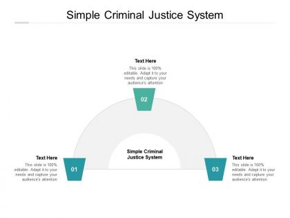 Simple criminal justice system ppt powerpoint presentation outline portfolio cpb