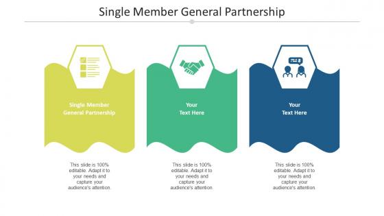 Single member general partnership ppt powerpoint presentation layouts designs download cpb