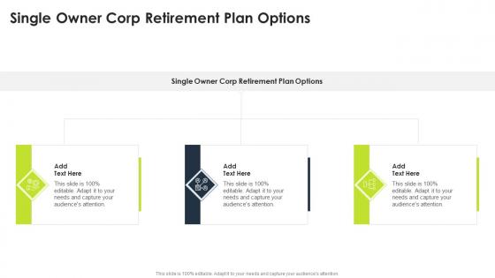 Single Owner Corp Retirement Plan Options In Powerpoint And Google Slides Cpb