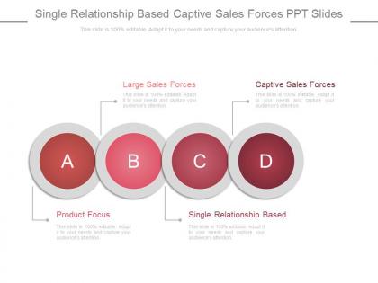 Single relationship based captive sales forces ppt slides
