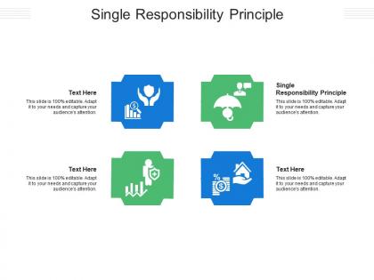 Single responsibility principle ppt powerpoint presentation file format cpb