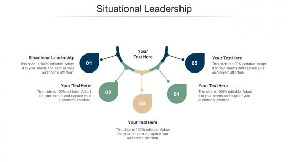 Situational leadership ppt powerpoint presentation portfolio graphic images cpb