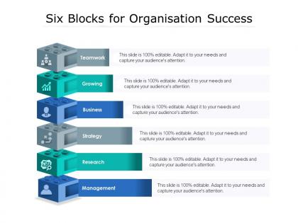 Six blocks for organisation success