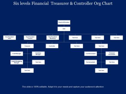 Six levels financial treasurer and controller org chart