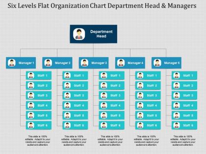 Six levels flat organization chart department head and managers