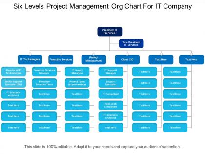 Six levels project management org chart for it company