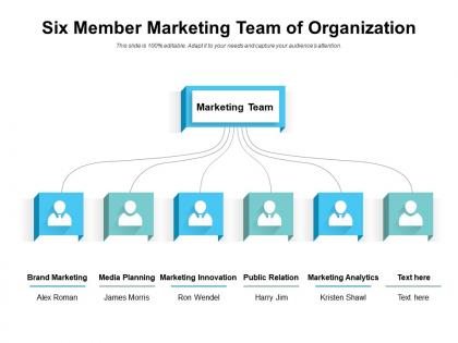 Six member marketing team of organization