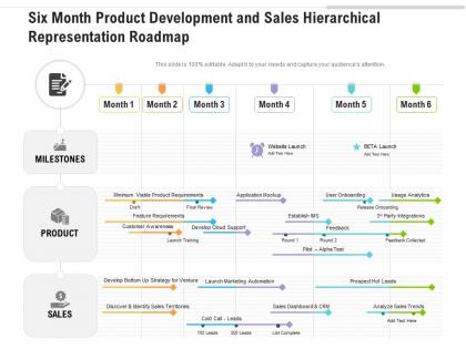 Six month product development and sales hierarchical representation roadmap