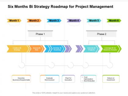 Six months bi strategy roadmap for project management