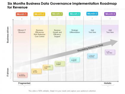 Six months business data governance implementation roadmap for revenue