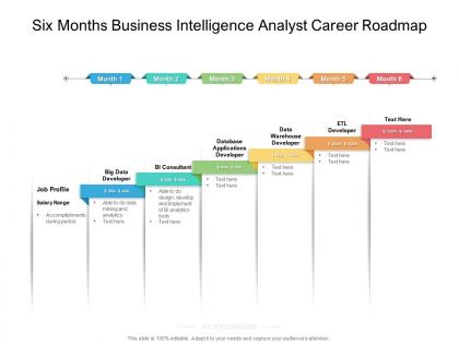 Six months business intelligence analyst career roadmap
