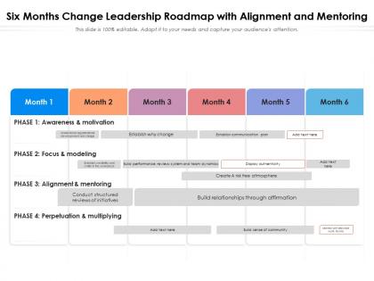 Six months change leadership roadmap with alignment and mentoring
