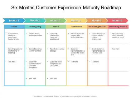 Six months customer experience maturity roadmap
