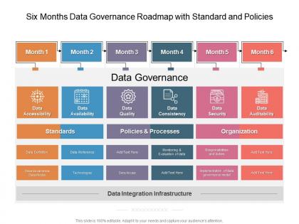 Six months data governance roadmap with standard and policies