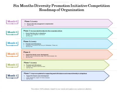 Six months diversity promotion initiative competition roadmap of organization