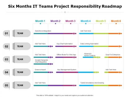 Six months it teams project responsibility roadmap