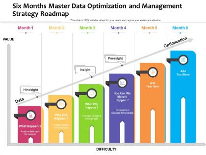 Six months master data optimization and management strategy roadmap