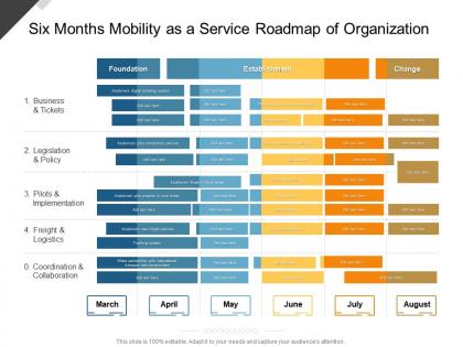 Six months mobility as a service roadmap of organization