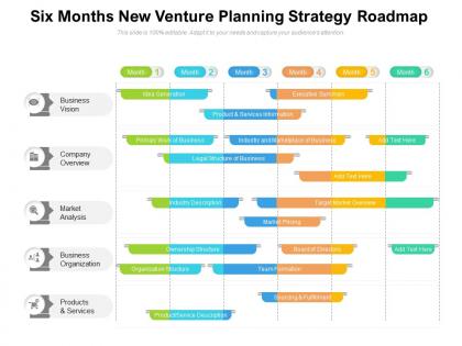 Six months new venture planning strategy roadmap