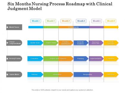 Six months nursing process roadmap with clinical judgment model