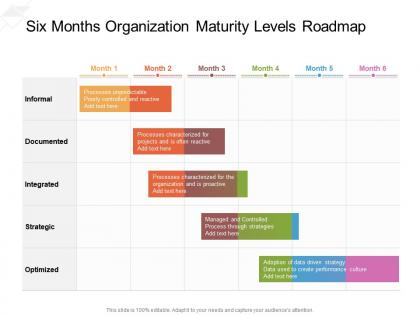 Six months organization maturity levels roadmap