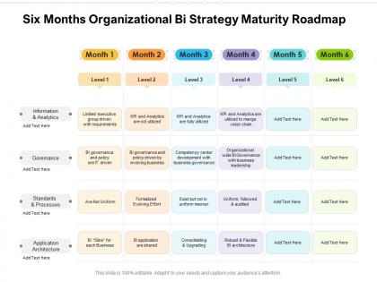 Six months organizational bi strategy maturity roadmap