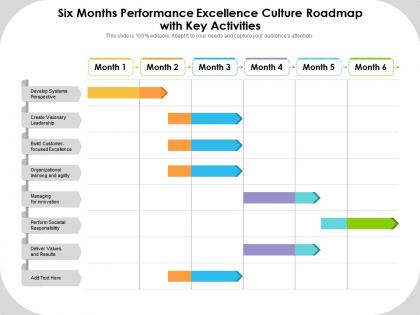 Six months performance excellence culture roadmap with key activities