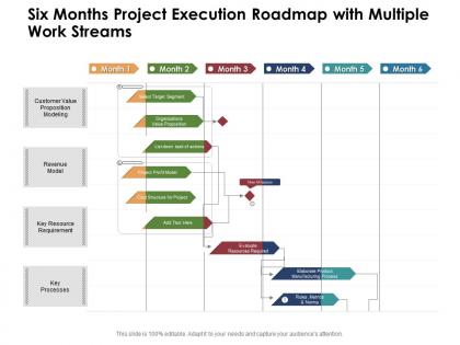 Six months project execution roadmap with multiple work streams
