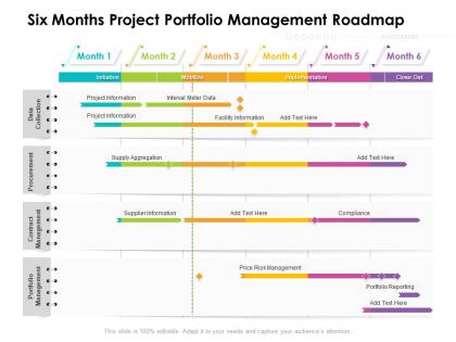 Six months project portfolio management roadmap