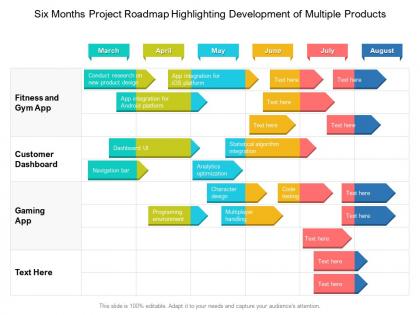 Six months project roadmap highlighting development of multiple products