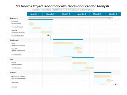 Six months project roadmap with goals and vendor analysis