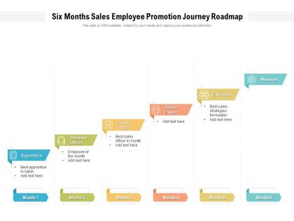 Six months sales employee promotion journey roadmap