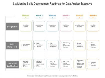 Six months skills development roadmap for data analyst executive