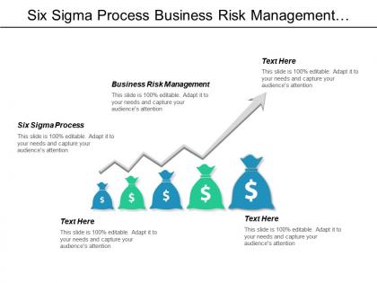 Six sigma process business risk management quality planning cpb