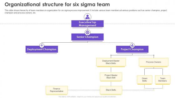 Six Sigma Process Improvement Organizational Structure For Six Sigma Team