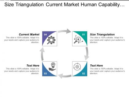 Size triangulation current market human capability application maintenance