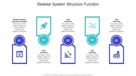 Skeletal System Structure Function In Powerpoint And Google Slides Cpb