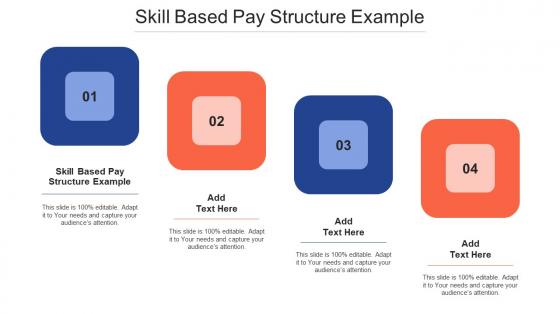 Skill Based Pay Structure Example Ppt Powerpoint Presentation Styles Designs Cpb
