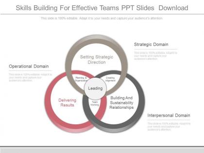 Skills building for effective teams ppt slides download