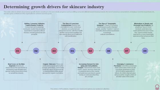 Skincare Industry Business Plan Determining Growth Drivers For Skincare Industry BP SS