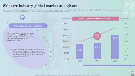 Skincare Industry Business Plan Skincare Industry Global Market At A Glance BP SS