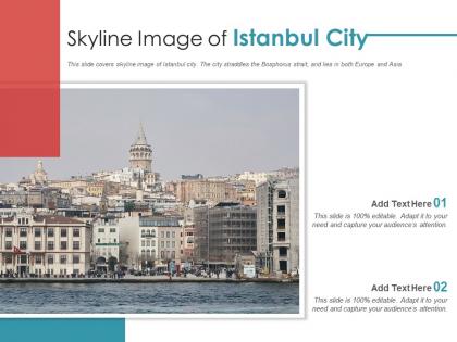 Skyline image of istanbul city powerpoint presentation ppt template