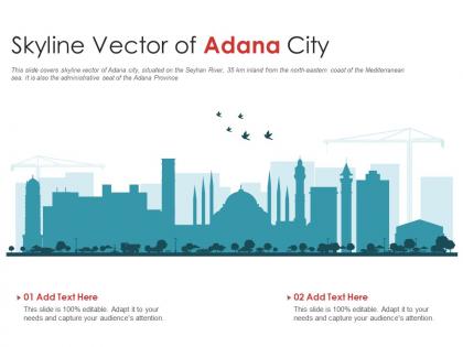 Skyline vector of adana city powerpoint presentation ppt template
