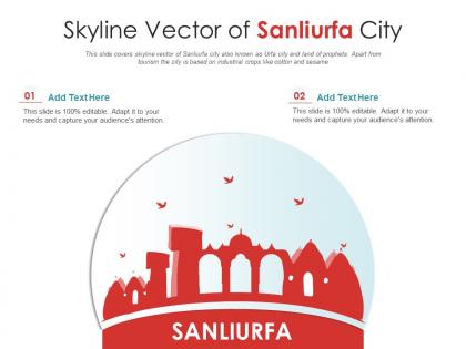 Skyline vector of sanliurfa city powerpoint presentation ppt template