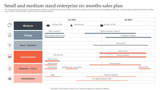 Small And Medium Sized Enterprise Six Months Sales Plan