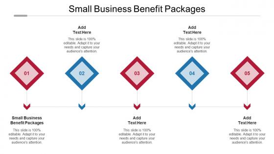 Small Business Benefit Packages Ppt Powerpoint Presentation Portfolio Show Cpb