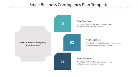 Small Business Contingency Plan Template Ppt Powerpoint Presentation File Examples Cpb